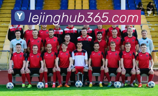 乐竟体育平台生态图